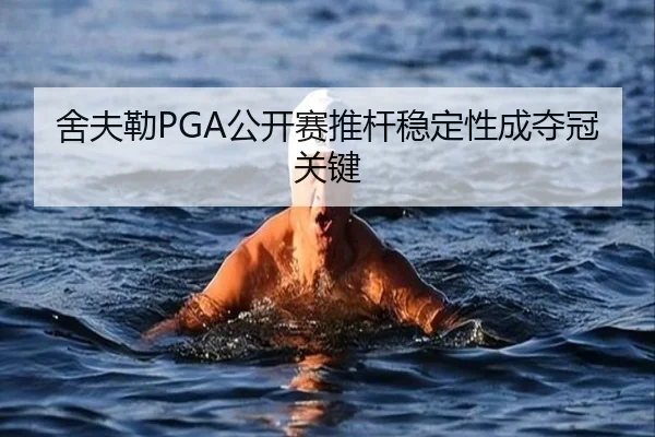舍夫勒PGA公开赛推杆稳定性成夺冠关键