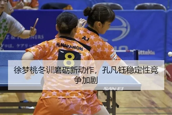 xu-meng-tao-dong-xun-mo-li-xin-dong-zuo-kong-fan-yu-wen-ding-xing-jing-zheng-jia-ju-2-177.jpg