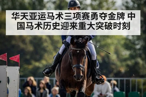华天亚运马术三项赛勇夺金牌 中国马术历史迎来重大突破时刻