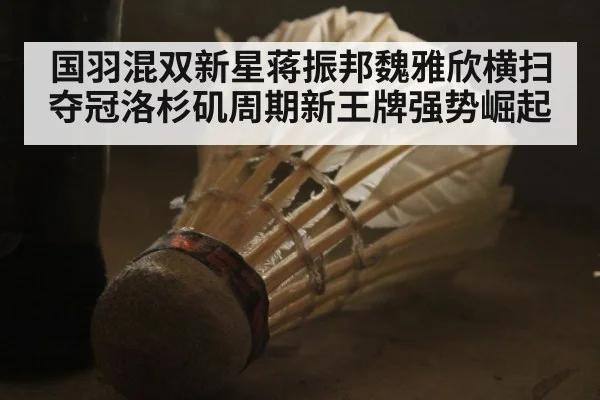 国羽混双新星蒋振邦魏雅欣横扫夺冠洛杉矶周期新王牌强势崛起